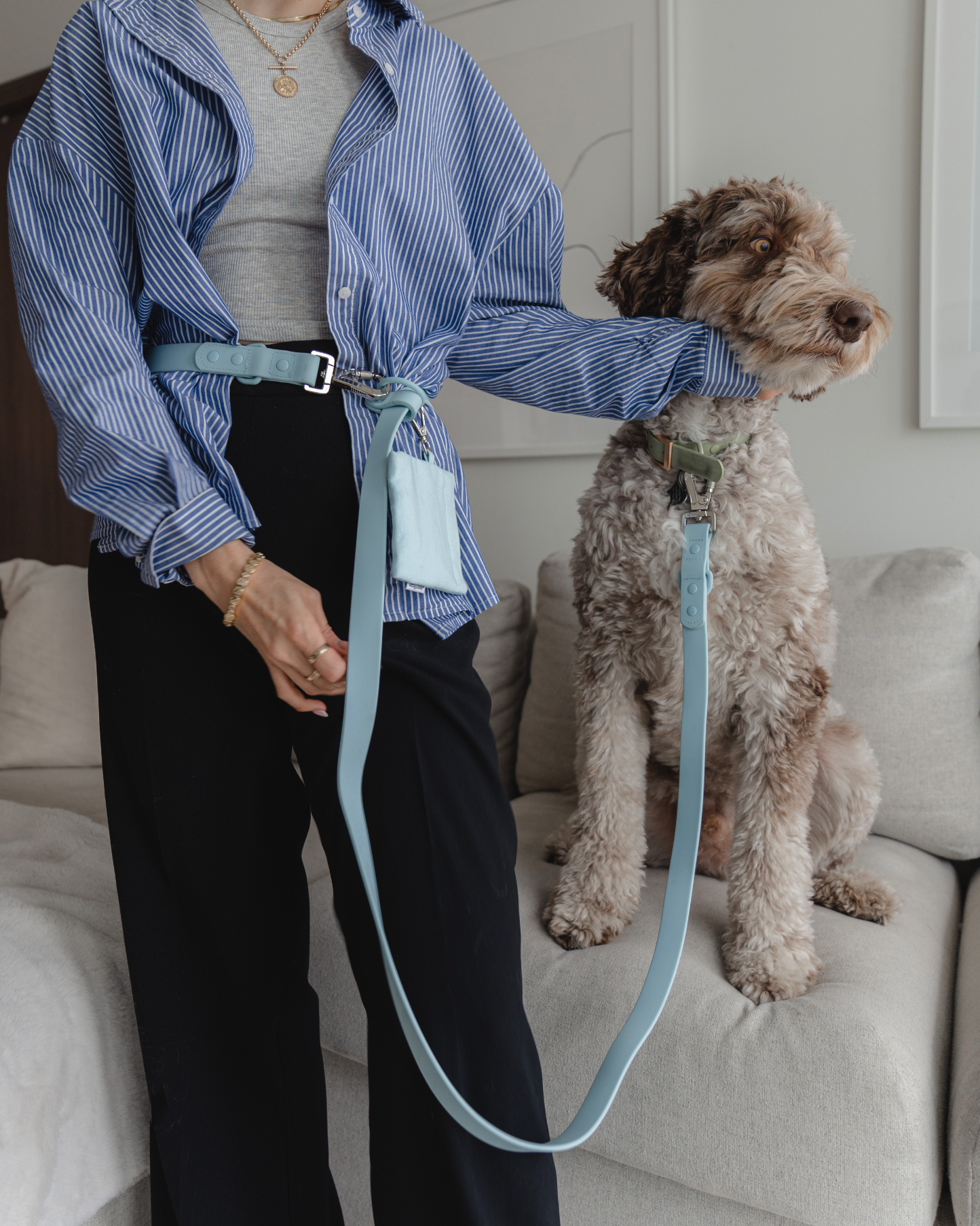 Hands Free Leash in Sky Blue 8"