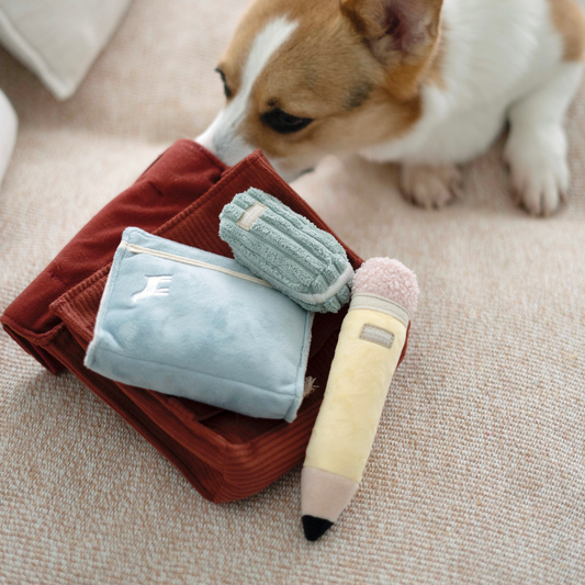 Juguete para perros de regreso a la escuela, 4 piezas