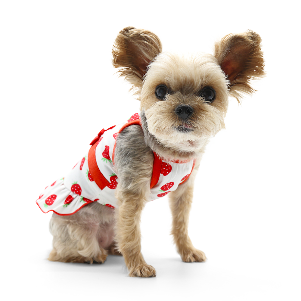 Vestido de perro con forma de fresa