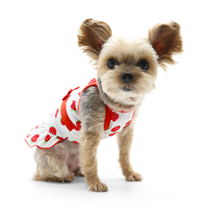 Vestido de perro con forma de fresa