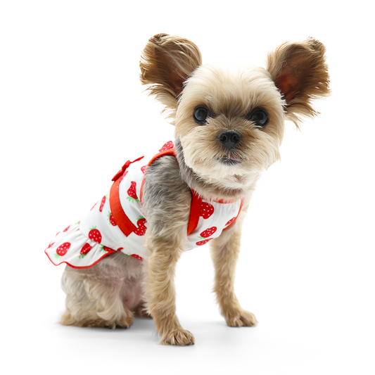 Strawberry Dog Dress