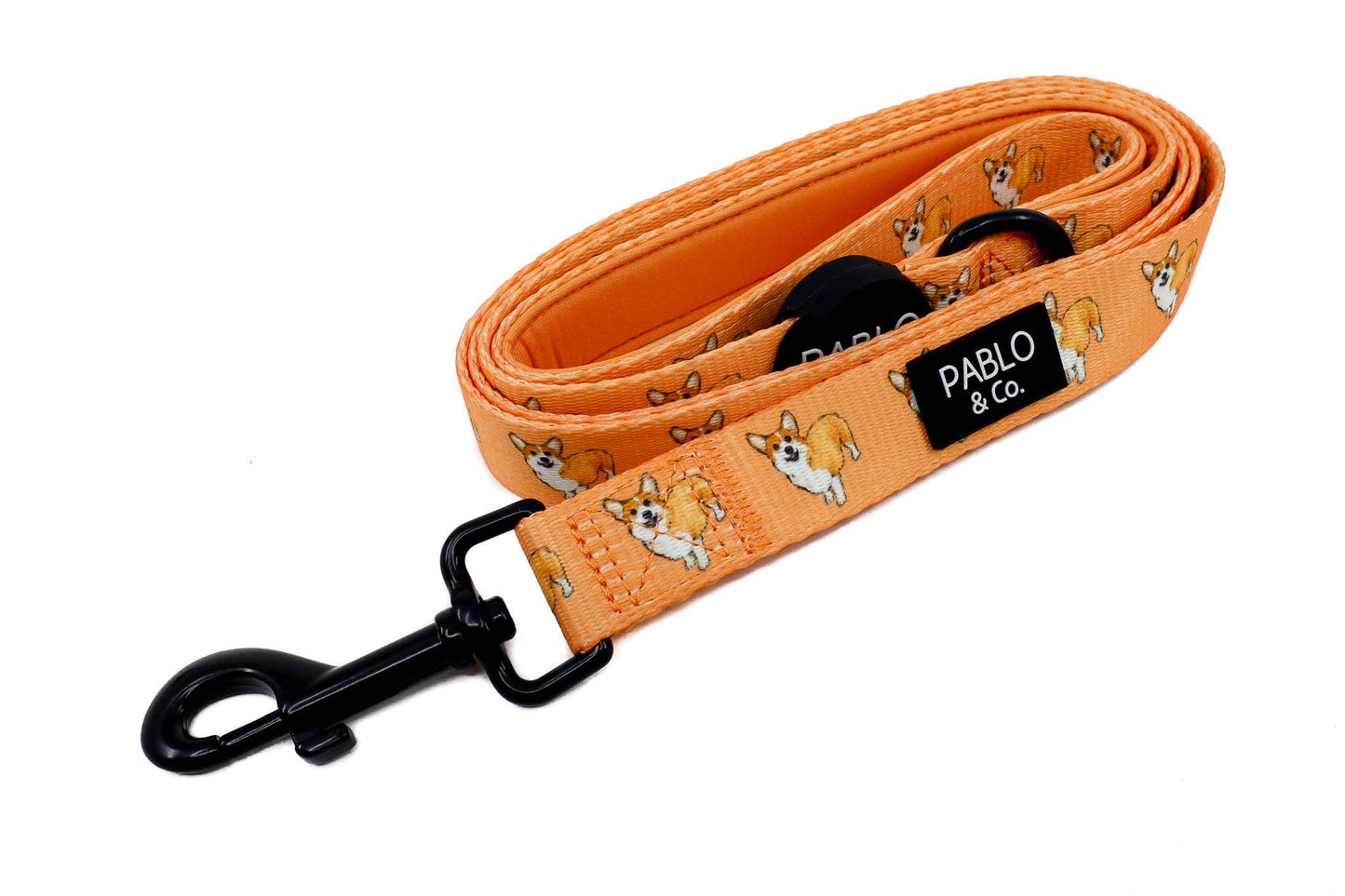 Corgi - Dog Leash