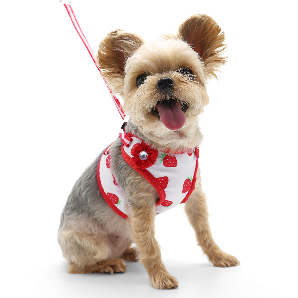 Arnés para perros EasyGO fresa