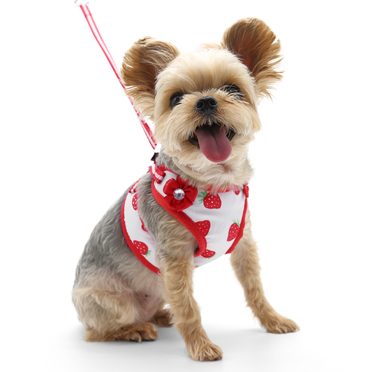 Arnés para perros EasyGO fresa