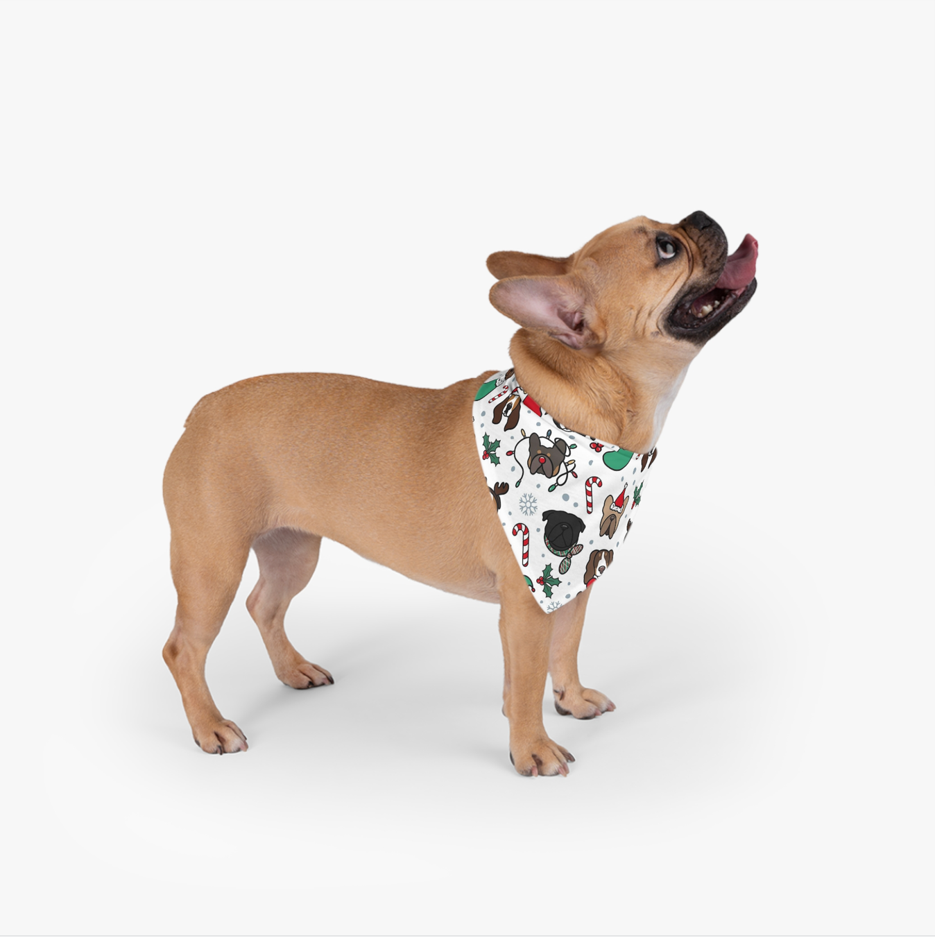 Santa Paws Christmas Dog Bandana