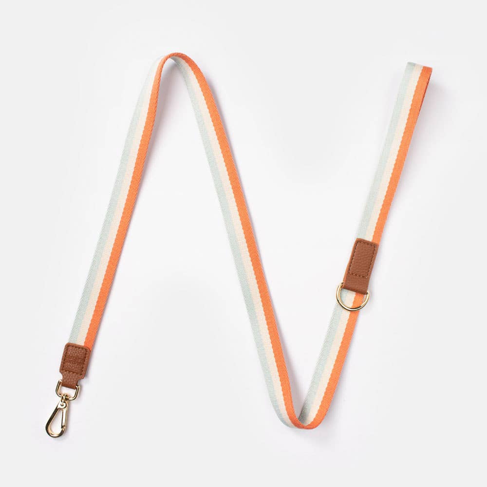 Orange Stripe Dog Leash