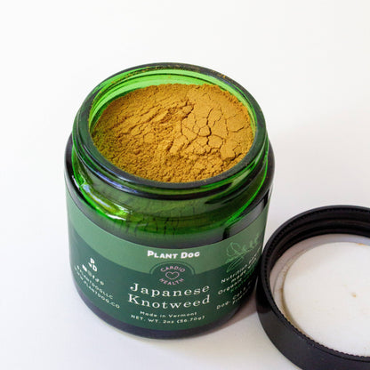 Japanese Knotweed Powder