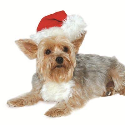 Doggie Santa Hat