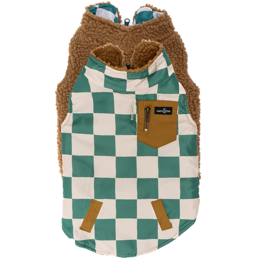 The You're a Square Reversible Teddy Dog Vest