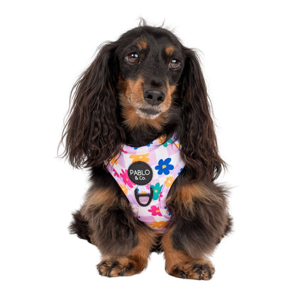 Delightful Daisies Adjustable Dog Harness