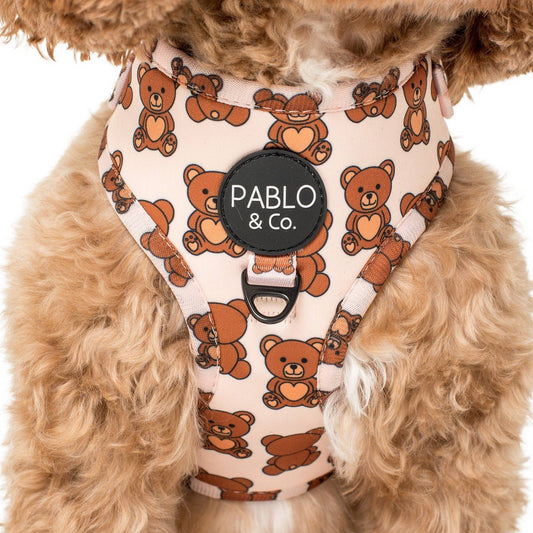 Teddy Bears Picnic Adjustable Dog Harness