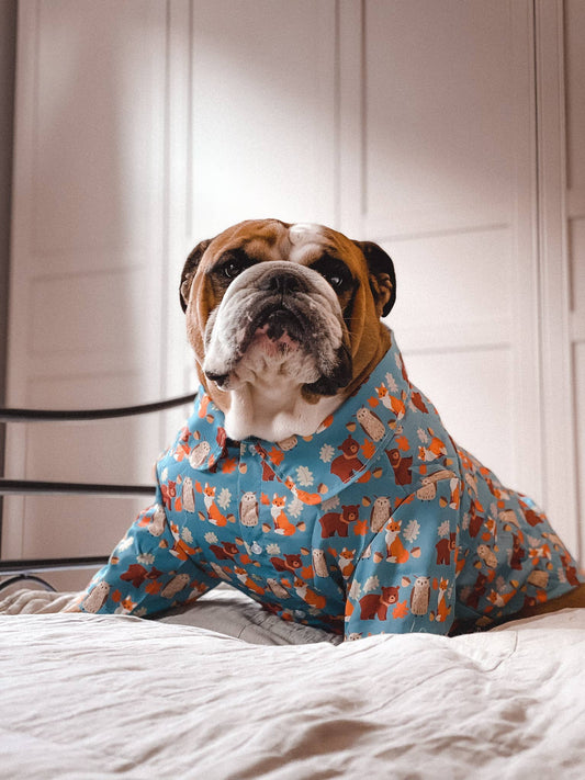 Forest Friends Autumn Dog Shirt