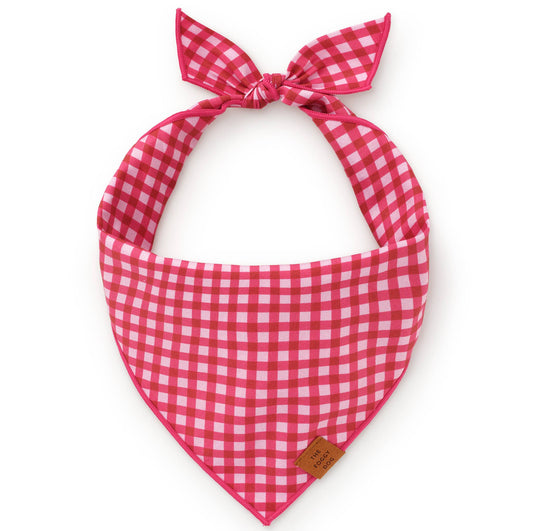 Raspberry Gingham Valentine's Day Dog Bandana