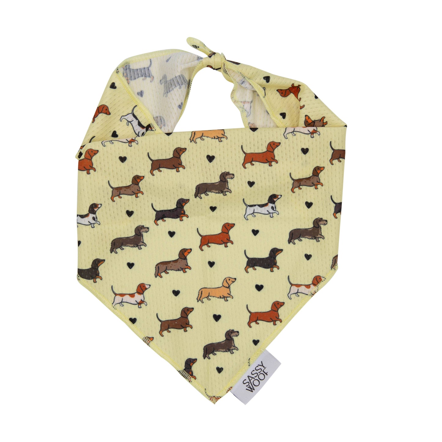 Bandana para perros - Doxie Delight