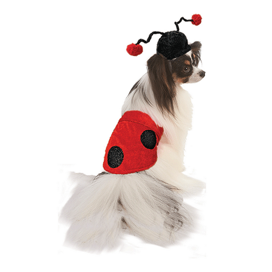 Fashion Pet Halloween Costume Ladybug