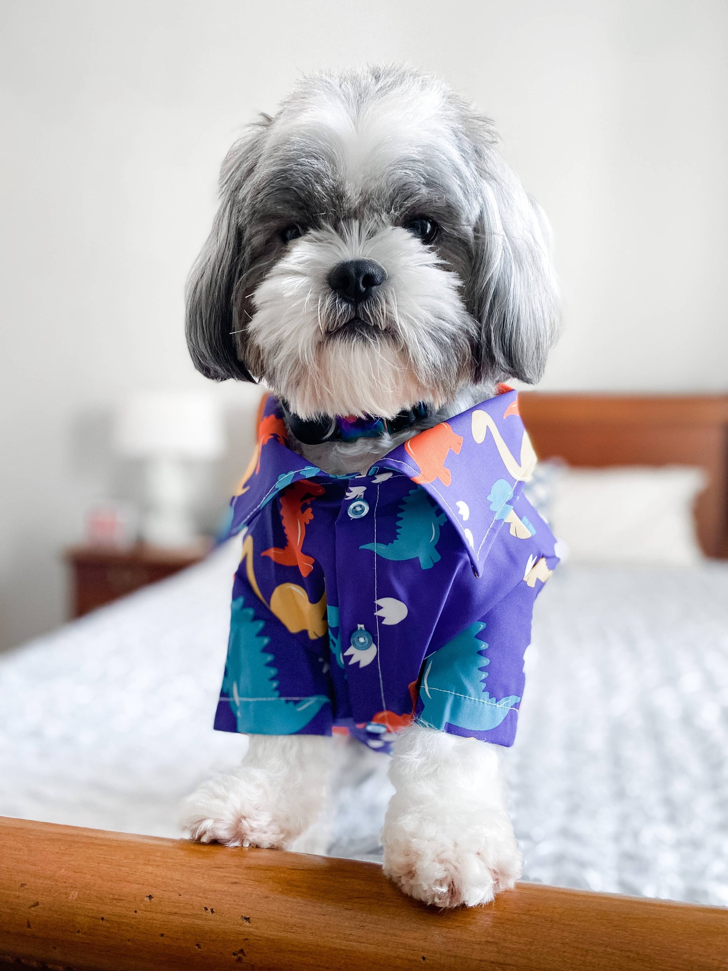 Dino Paws Dinosaur Dog Shirt